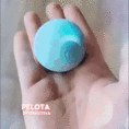 1721966478pelota